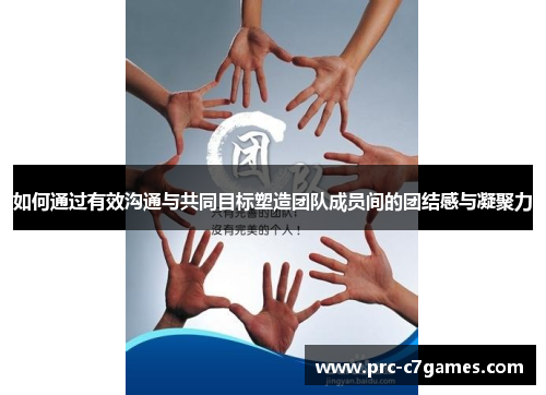 如何通过有效沟通与共同目标塑造团队成员间的团结感与凝聚力 如何通过有效沟通与共同目标塑造团队成员间的团结感与凝聚力