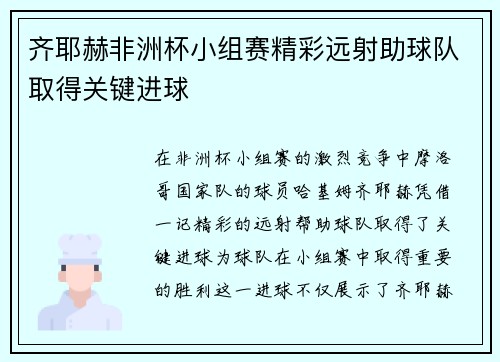 齐耶赫非洲杯小组赛精彩远射助球队取得关键进球