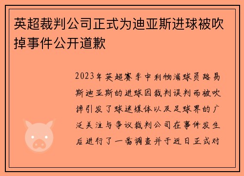 英超裁判公司正式为迪亚斯进球被吹掉事件公开道歉